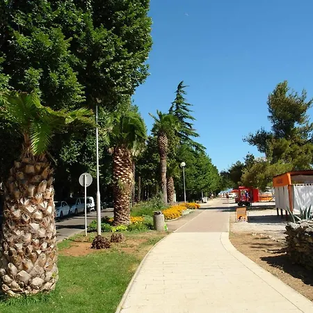 Gianni 크리크베니카