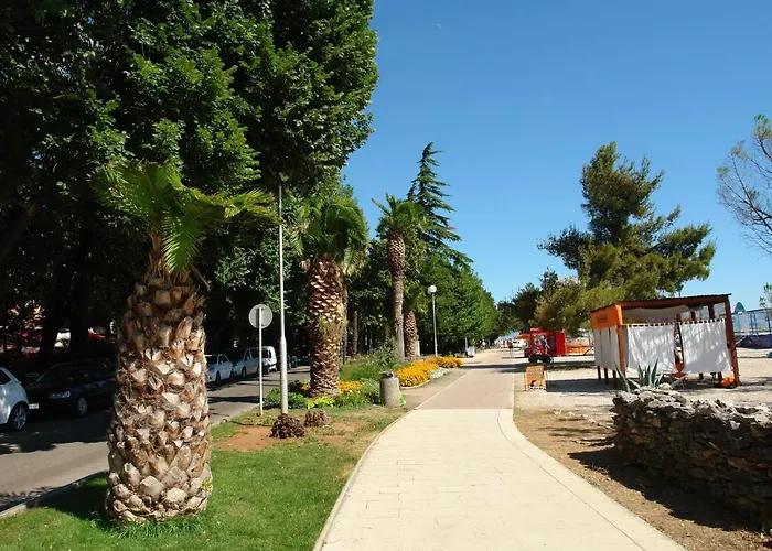 Gianni 크리크베니카